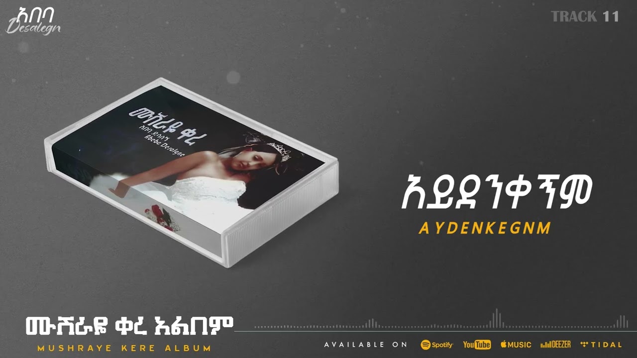 Abeba Desalegn - Aydenkegnm - አይደንቀኝም _ Collection | Track 11 (Official Audio)