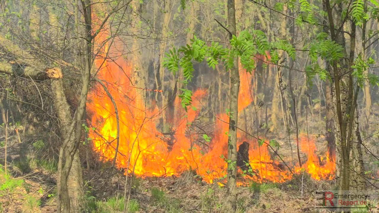 [GROSSER WALDBRAND IN HILDEN] - 25 Hektar Wald in Flammen | Großeinsatz der Feuerwehr -