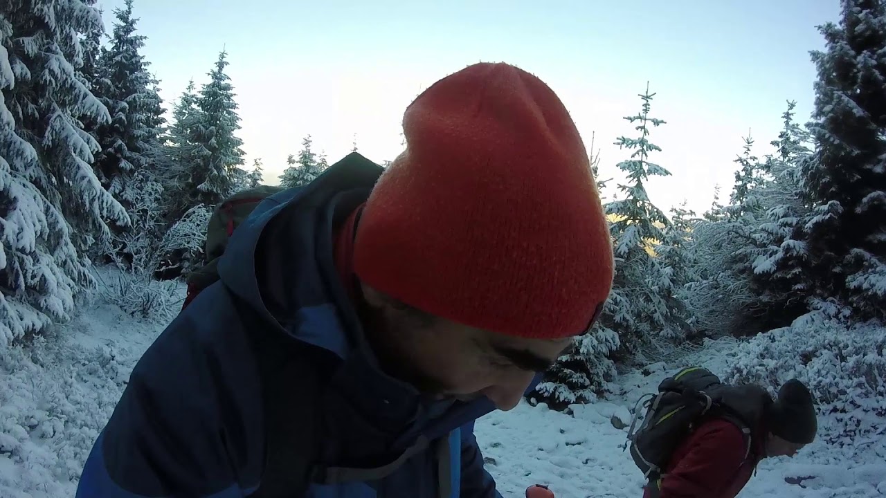 BIHOR CUCURBATA MARE