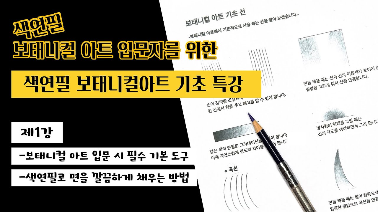 색연필 보태니컬 아트 기초 특강/제1강 보태니컬 아트 입문 시 필수 기본 도구, 색연필로 면을 깔끔하게 채우는 방법