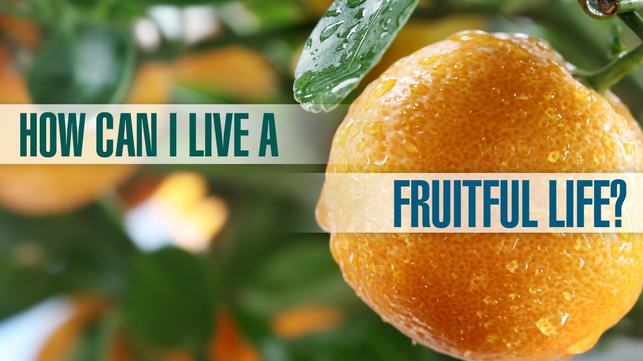 How Can I Live a Fruitful Life?