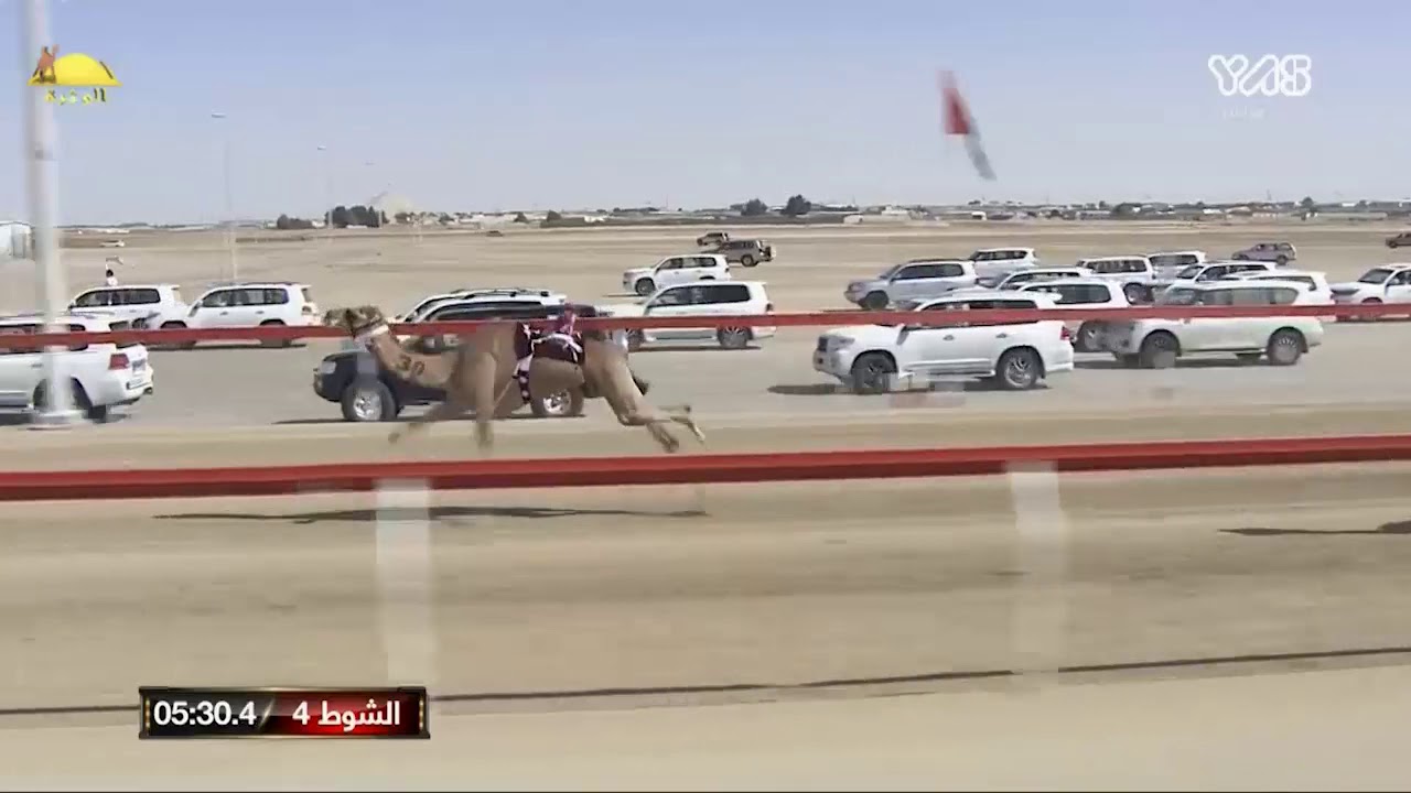 الشوط 4 بندقية (هيت) لـ ناجي مسفر آل رزق العجمي 5:45:7 , ختامي الوثبة 2020/3/11 حقايق