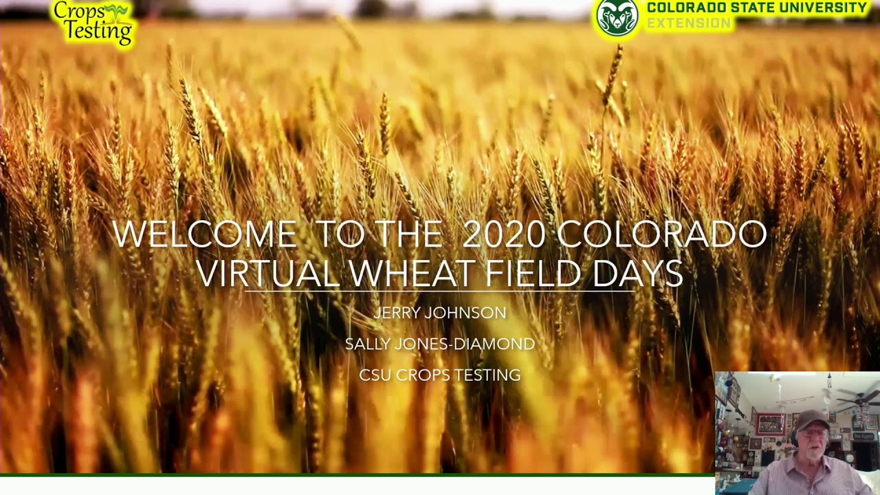Welcome to 2020 CSU Virtual Wheat Field Days – Jerry Johnson