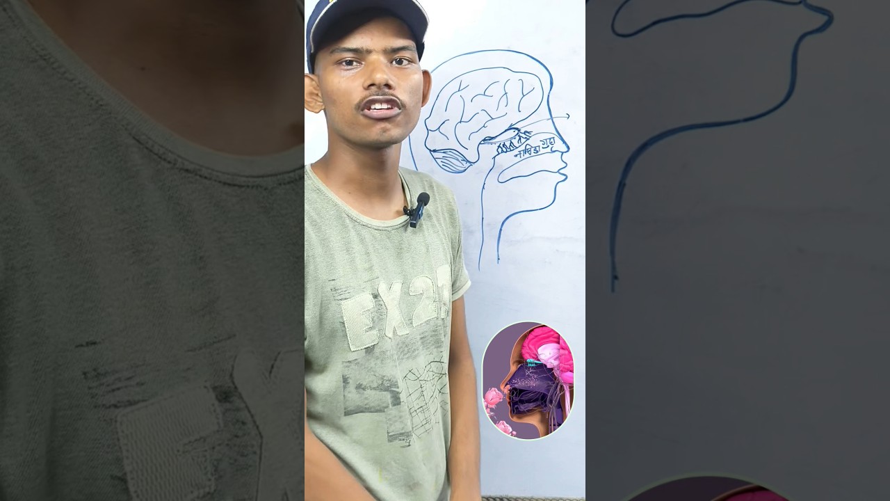 गंध कैसे महसूस होती है🔥 ||#class10 #biology #neet #class12th #boardexam  #shorts @biosystem123