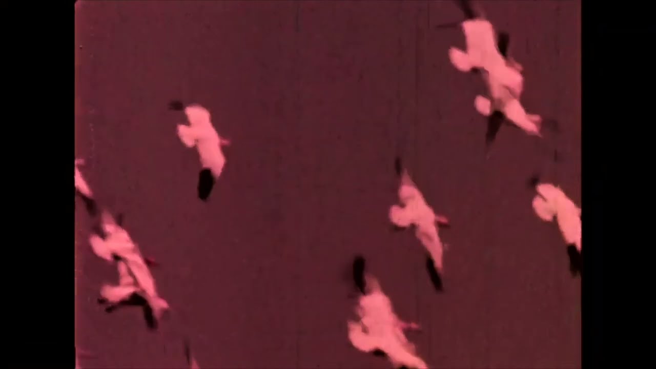 Void, Endlessly II