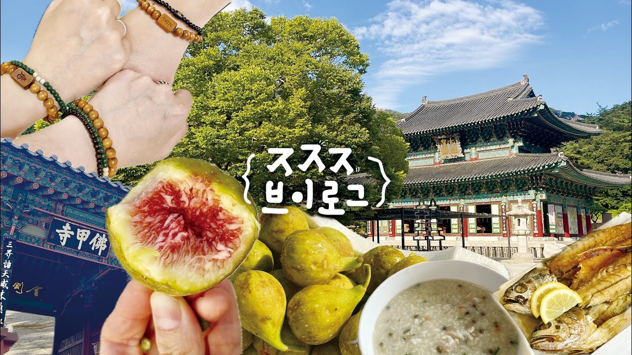 전라도 영암, 영광 여행 브이로그 | 무화과 사냥, 도갑사 템플 스테이, 하정웅 미술관, 도자기 박물관 | 법성포 보리굴비, 백수해안도로, 백합죽, 불갑사