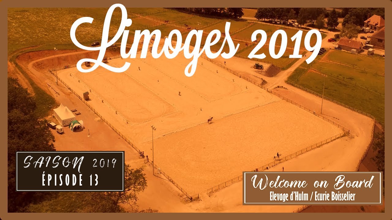 Les Jeunes Chevaux Déjà Qualifiés pour la Finale de Saumur en Dressage !!!