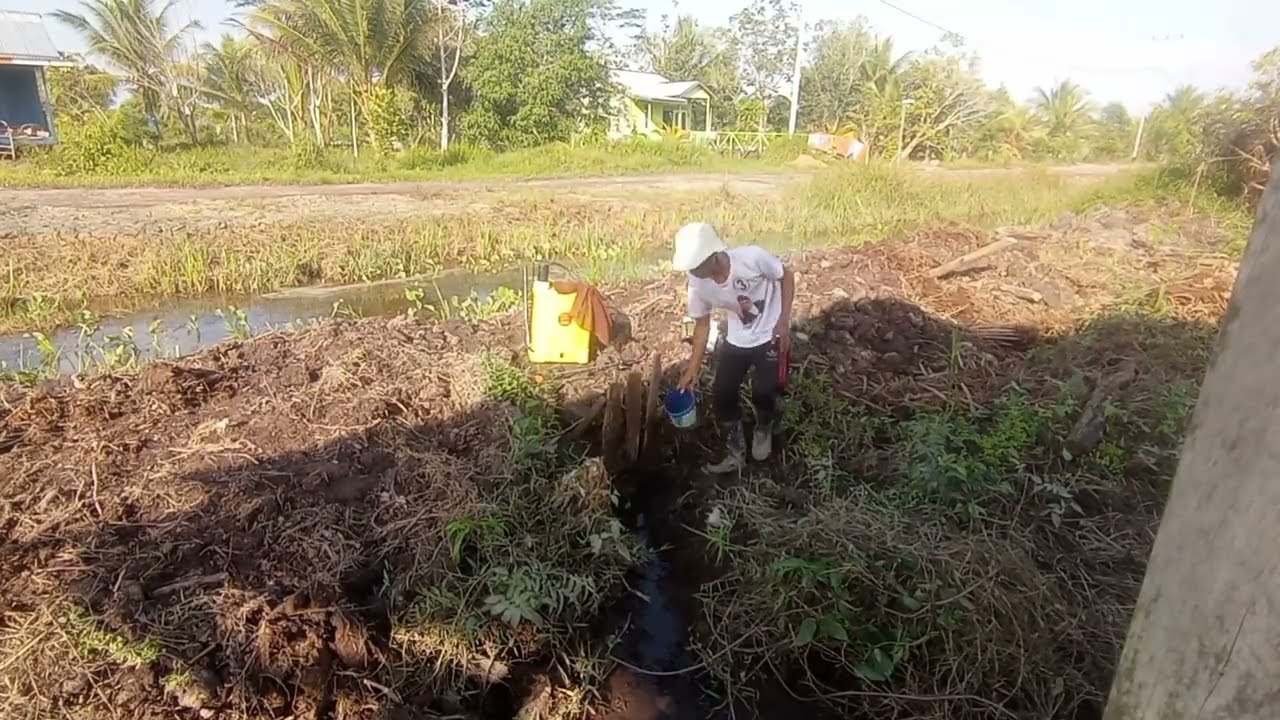 Опрыскивание травы на новой земле