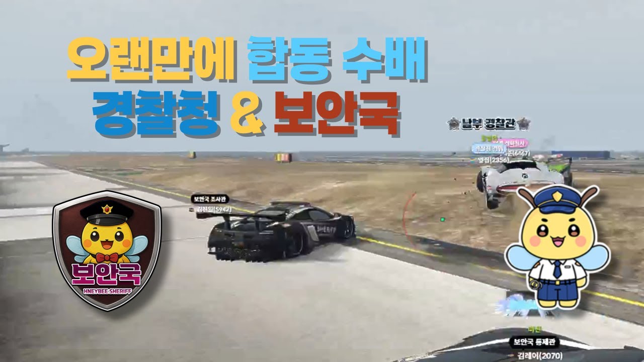 드라이빙 합동수배