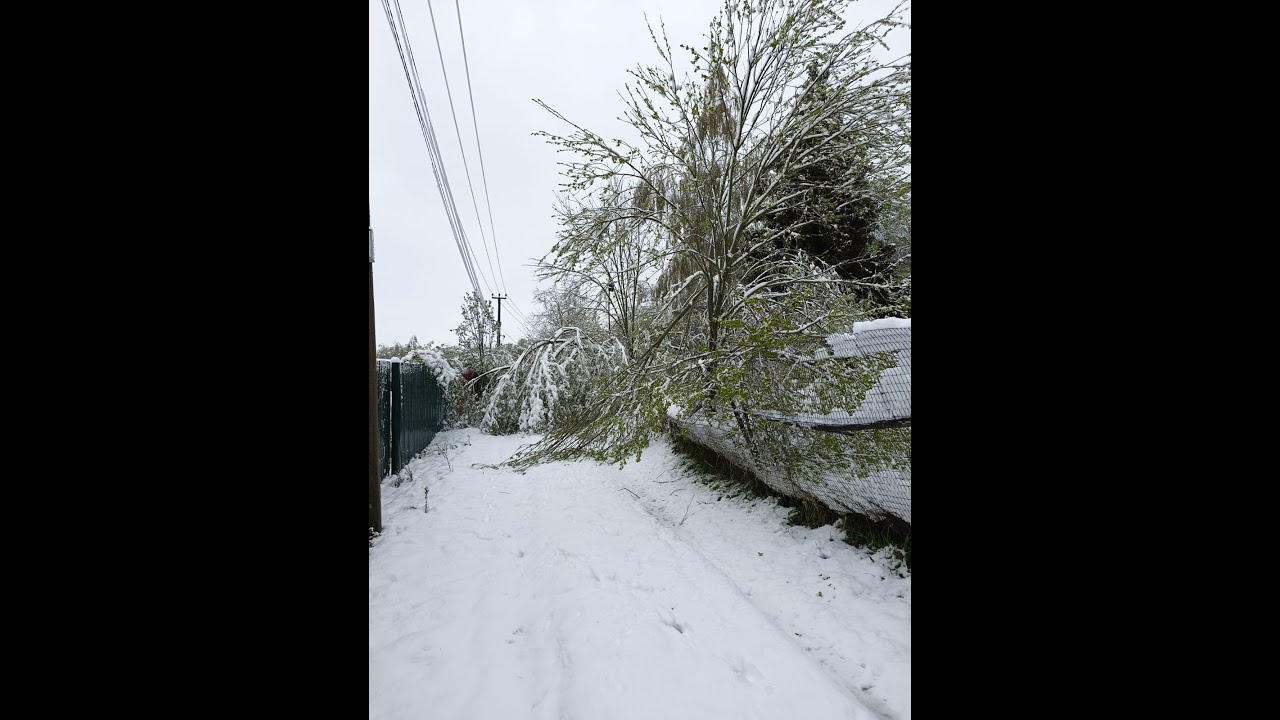 Майская катастрофа 2025