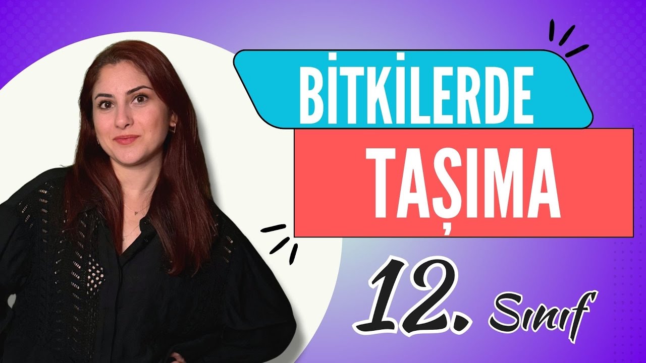 22) BİTKİLERDE TAŞIMA | 12. SINIF | DETAYLI KONU ANLATIMI | AYT 2024