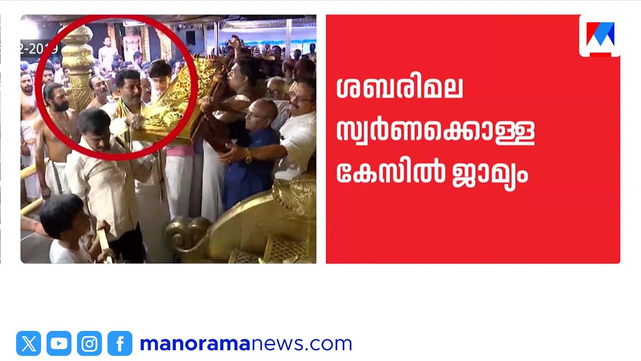 ശബരിമല സ്വർണക്കൊള്ള: മുൻ എക്സിക്യൂട്ടീവ് ഓഫീസർ സുധീഷ് കുമാറിന് ജാമ്യം ​| Sabarimala Gold Theft