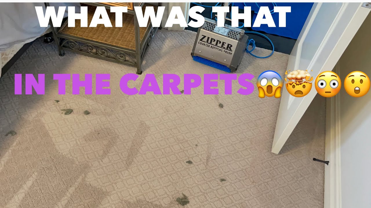 Removing pet stains with unchained for a new customer