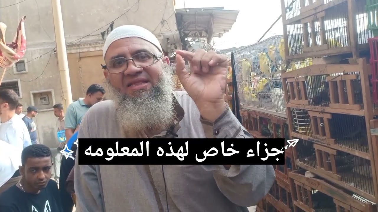 انهيار في بعض الطيور الفينش وارتفاع بعض الطيور مع ابو حبيبه