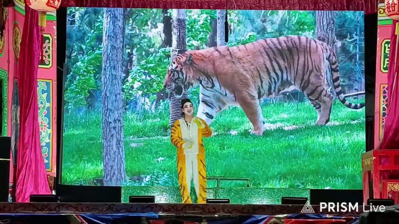 การถ่ายทอดสดของ ช้างน้อย สตูดิโอ