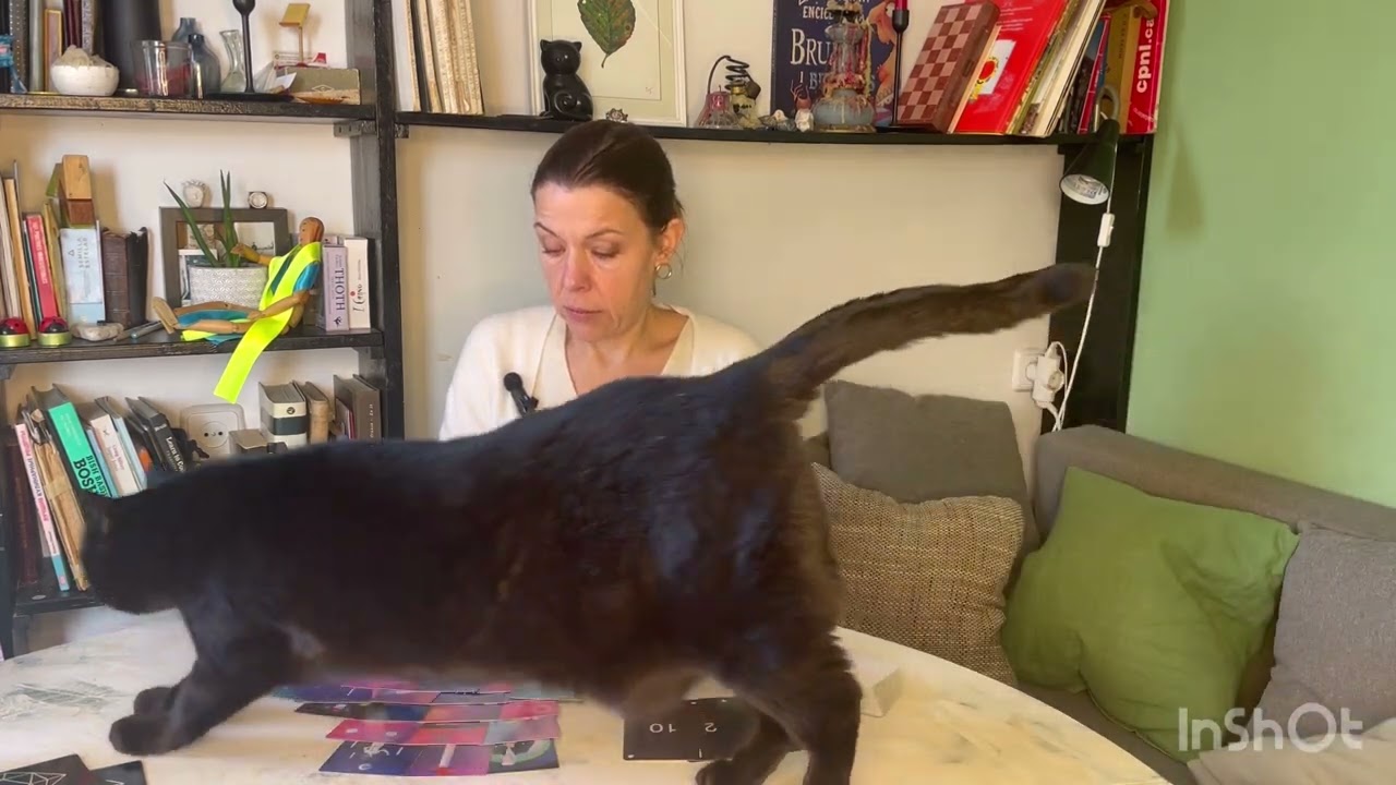 🔥 ЧТО ЗНАЧАТ ДЛЯ НЕГО ВАШИ ОТНОШЕНИЯ?