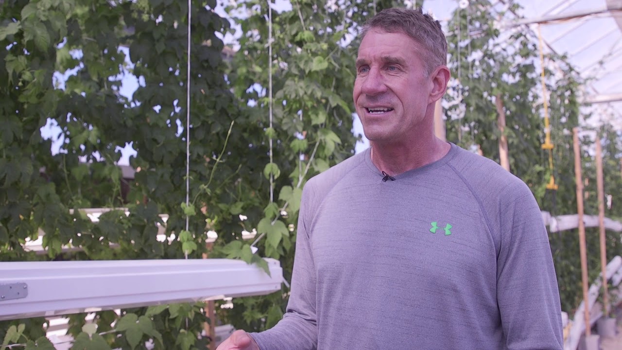 Get a look inside Arizona's first indoor hops farm