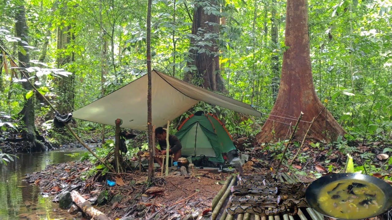 camping di hutan berburu ikan di guyur hujan deras mengolah masakan ekstrim daging ular & ikan lele