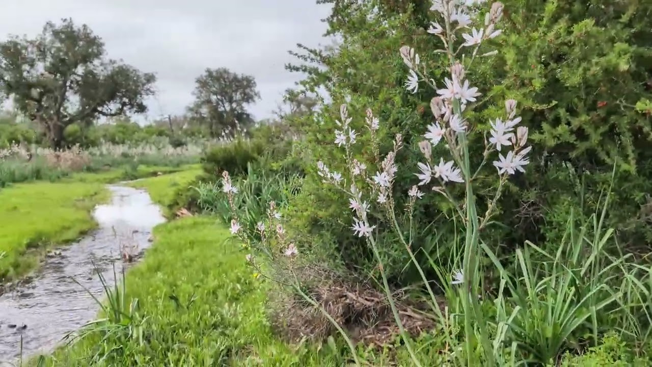 غابة بنسليمان ♥️ فرجة ممتعة 