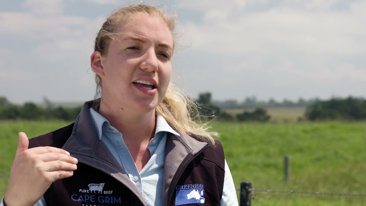 Introducing the Greenham Beef Sustainability Standard (GBSS)_CC