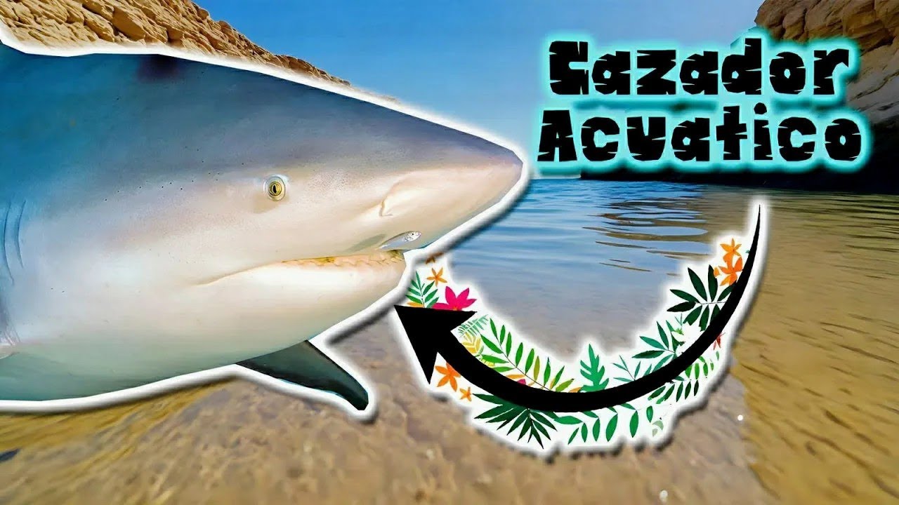 Tibur&oacute;n Toro | Documental de Animales