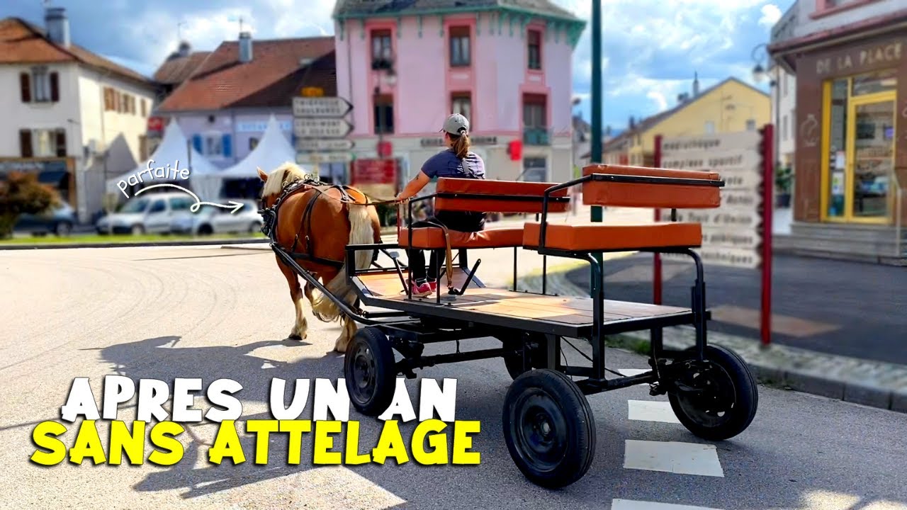 Une grande premi&egrave;re ! ON VA FAIRE DE LA CAL&Egrave;CHE EN VILLE 😍