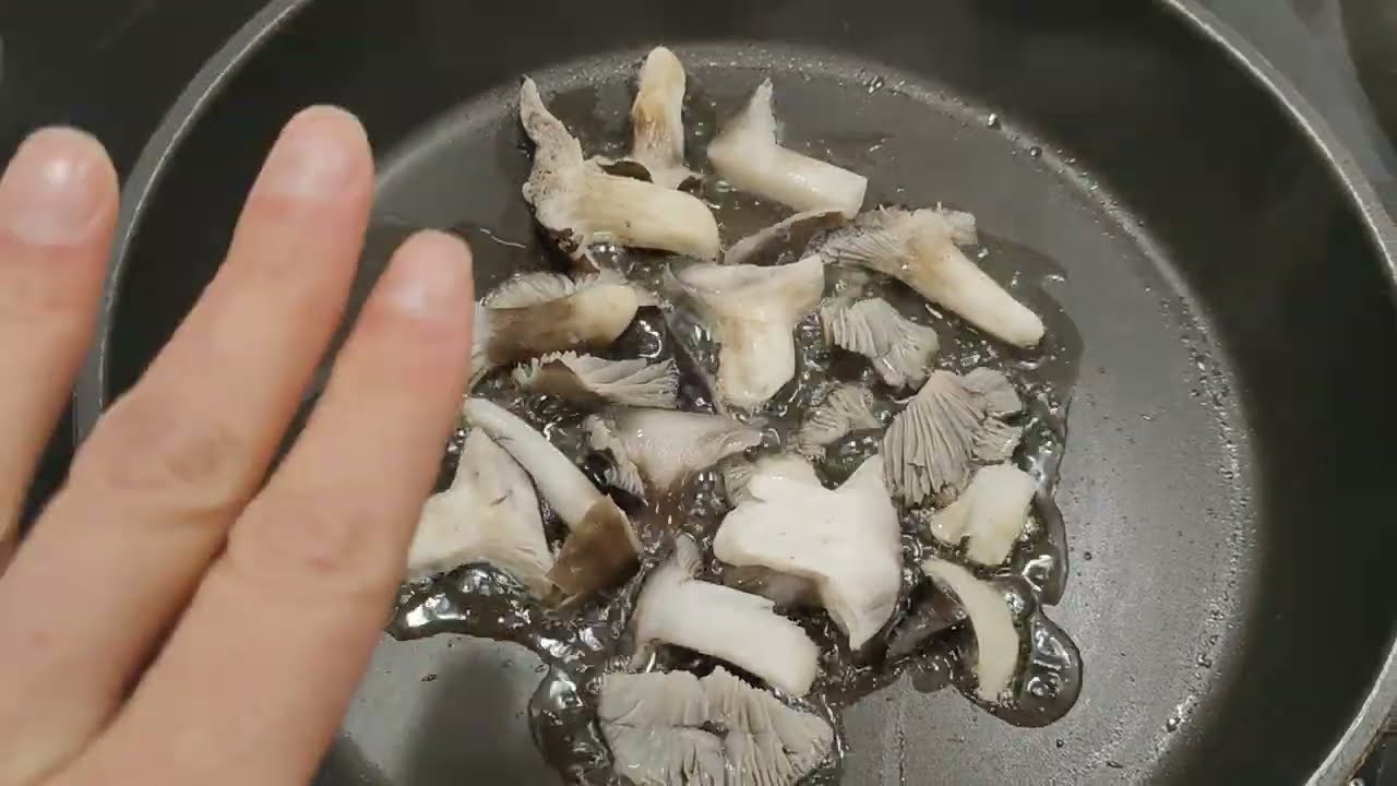Así se prueba el sabor de una seta. Ejemplo con la seta de marzo.