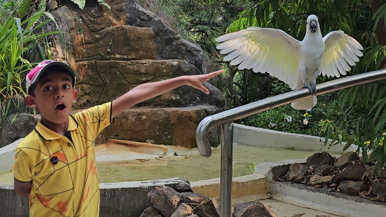 I visited Mumbai's LARGEST BIRD PARK... so you DONT have to