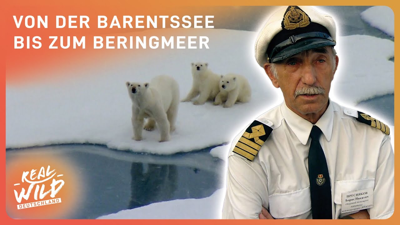 2 Stunden unterwegs im Nordmeer | Arktis-Doku