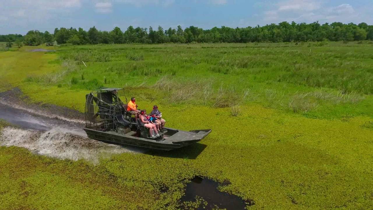 Airboat Tours by Arthur in Des Allamands, LA