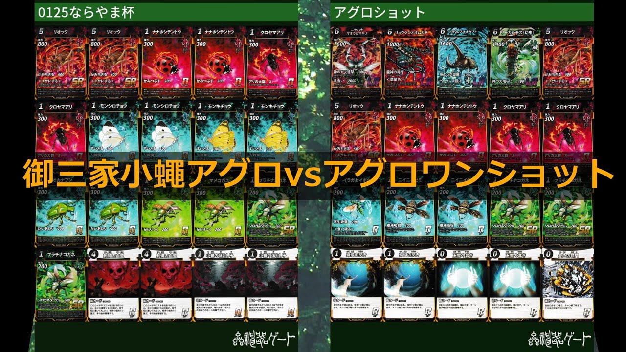 【#蟲神器】＜小蠅アグロvsアグロワンショット＞【#わかむしちゃんねる 271】