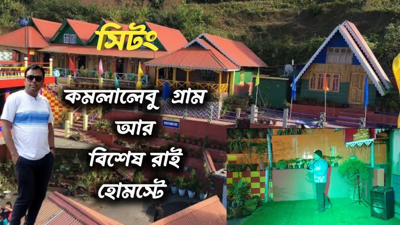 কমলালেবু গ্রাম Sittong l Bises Rai Homestay l wooden Cottagel জমজমাট সান্ধ্য অনুষ্টান