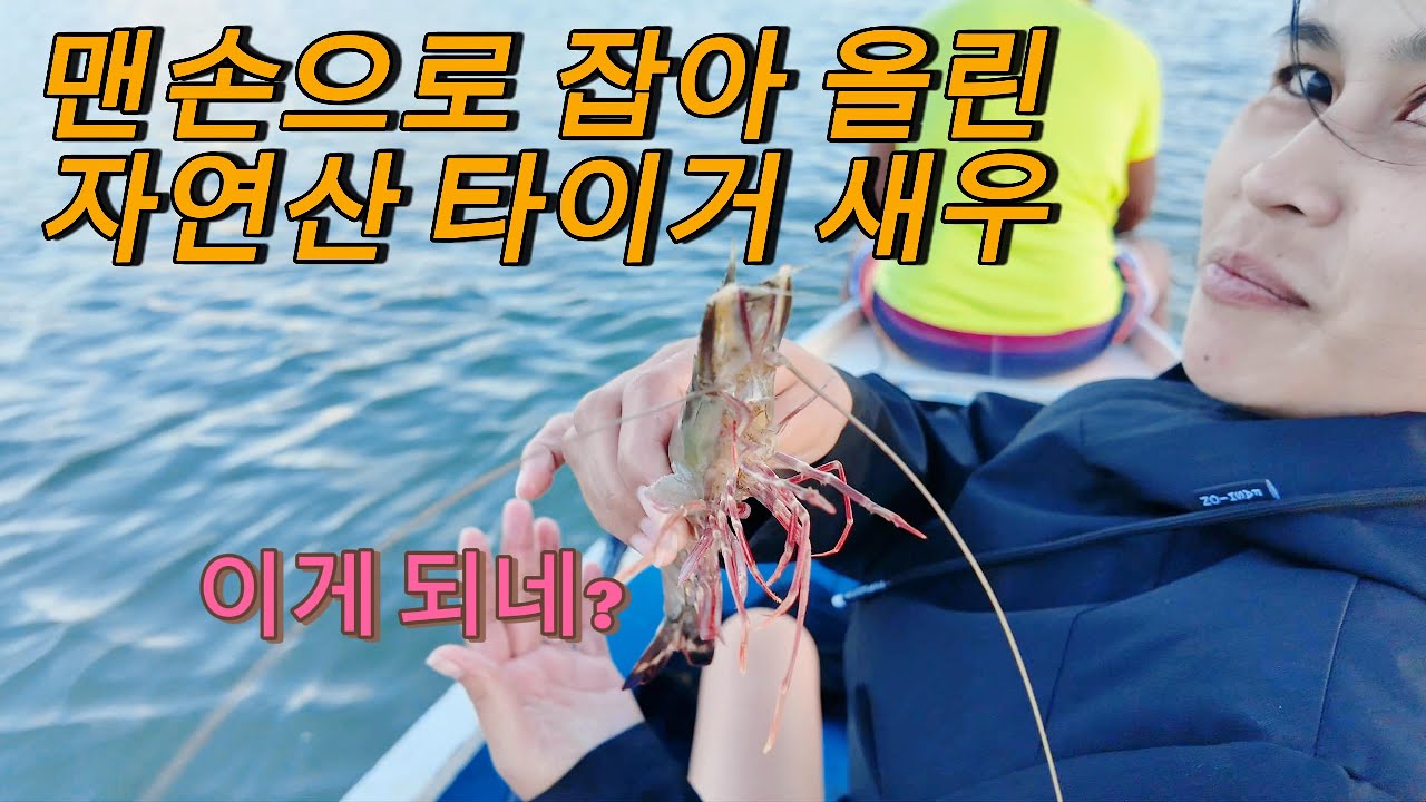 🇵🇭필리핀 자연산 타이거새우 잡는게 궁금해서 따라가 봤습니다 맨손으로 타이거 새우 때려 잡는 필리핀 여자