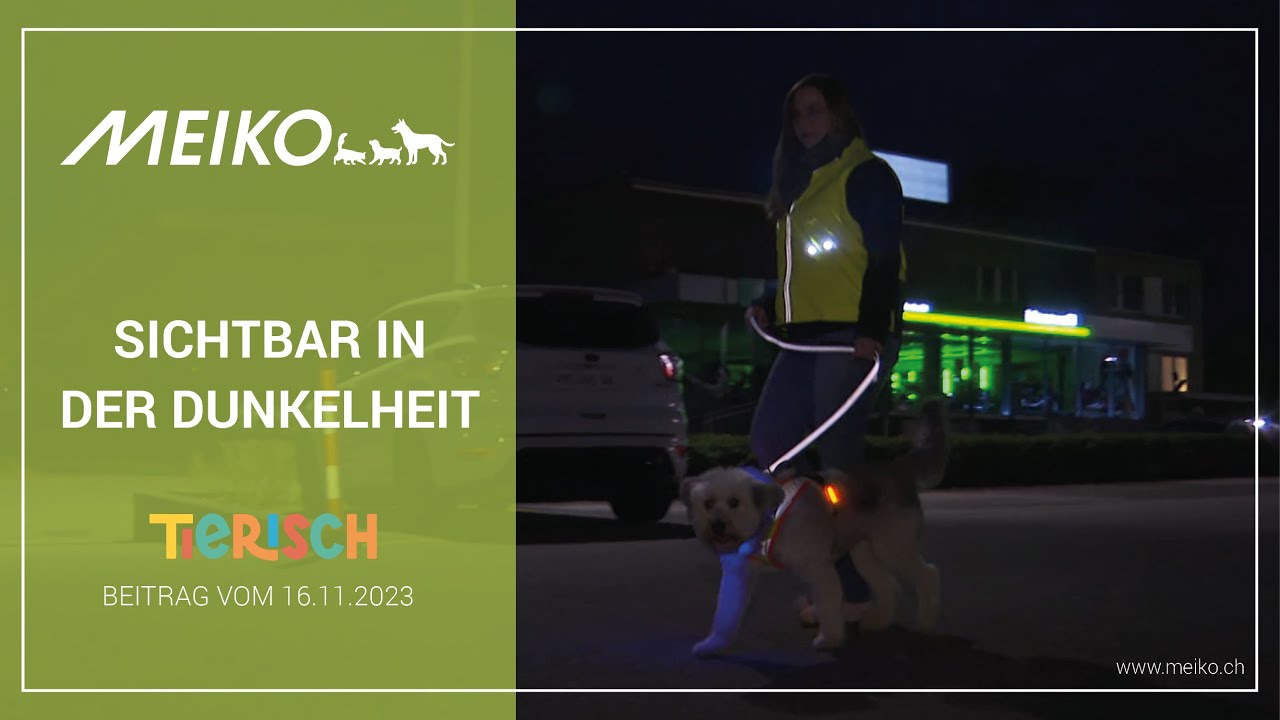 Sichtbar in der Dunkelheit – tierisch Beitrag vom 16.11.2023