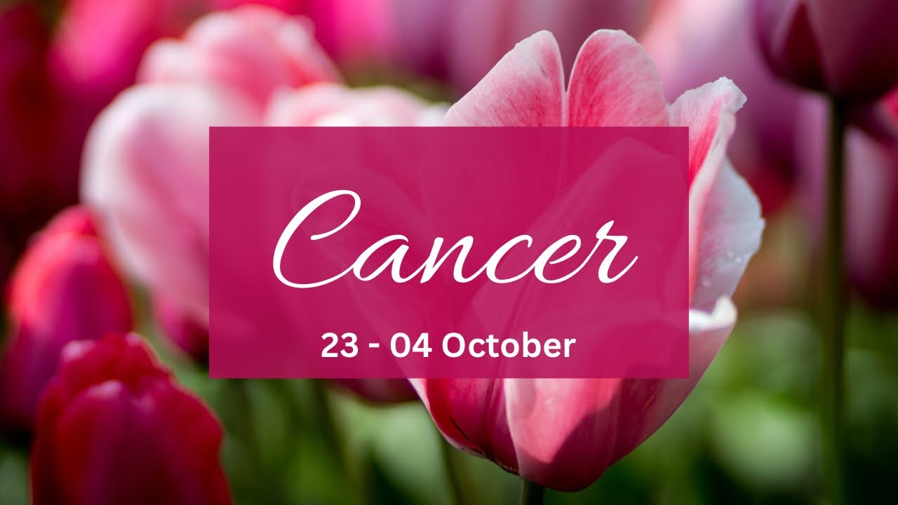 Cancer❤️U walked away from their games & now they want to wife u up!Can’t take their eyes off u!