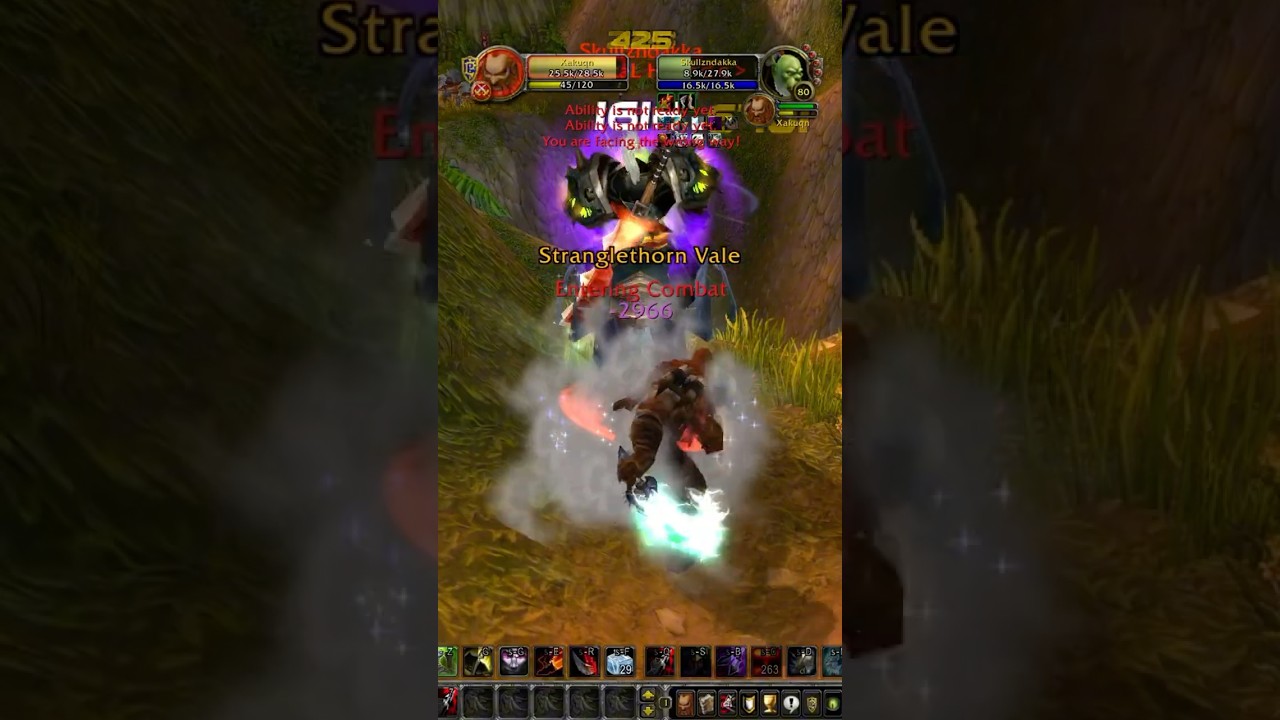 Ganking the Gankers #pvpwowwotlk