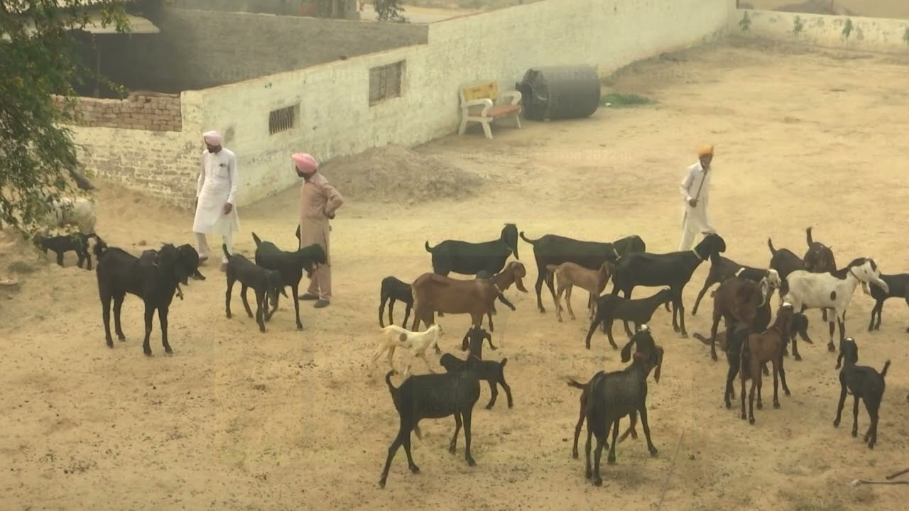 The Navi Disha Program, Mansa District, Punjab: A New Direction for the Agricultural Community