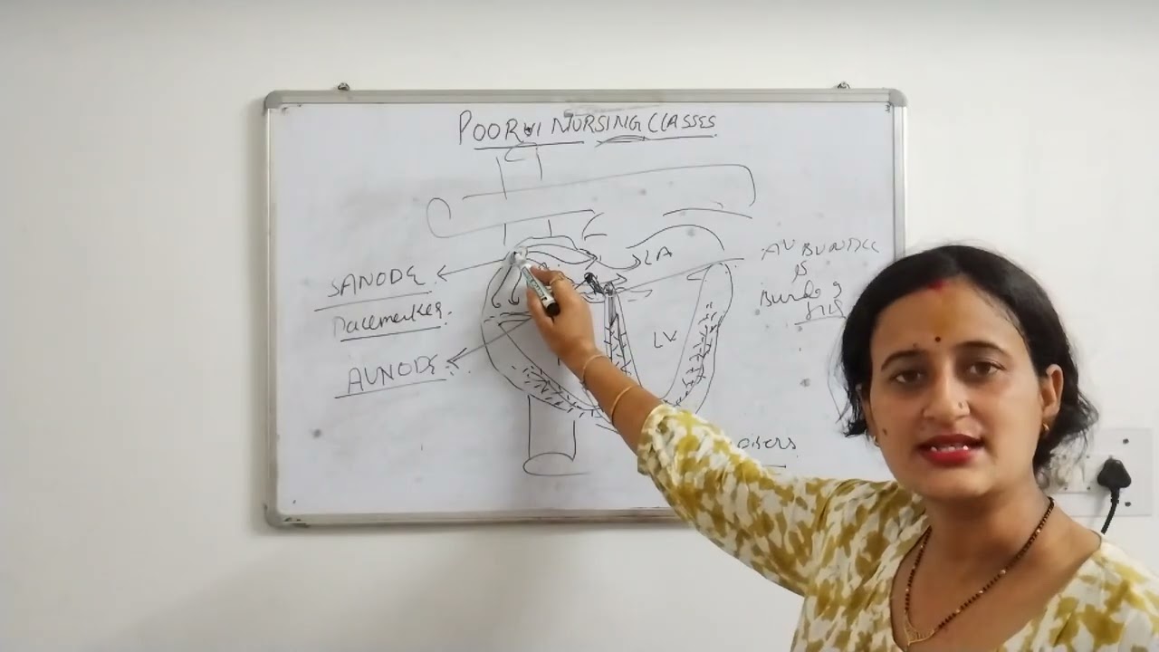 The conduction system of heart ❤️