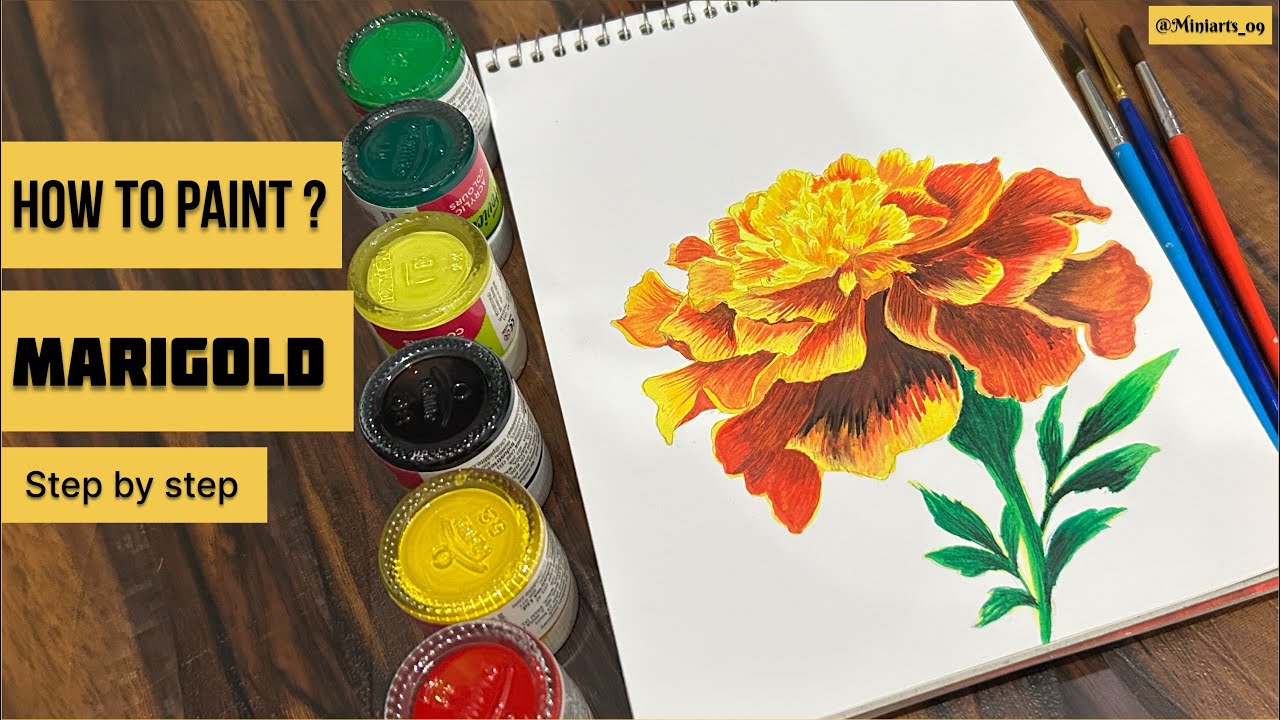 Marigold flower drawing watercolour 🎨 | How to paint flowers ? #drawing 