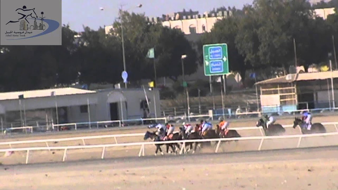 03 الشوط الثالث الحفل الثاني عشر تصفية عز الخيل المبدئية ميدان فروسية الجبيل موسم 1435 1436