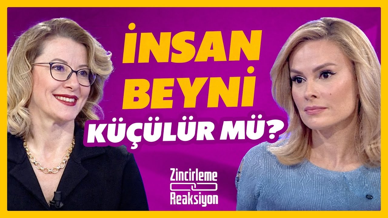 İnsan Beyni Küçülür mü? | Dr. Burcu Örmeci | Zincirleme Reaksiyon  | BBO Yapım