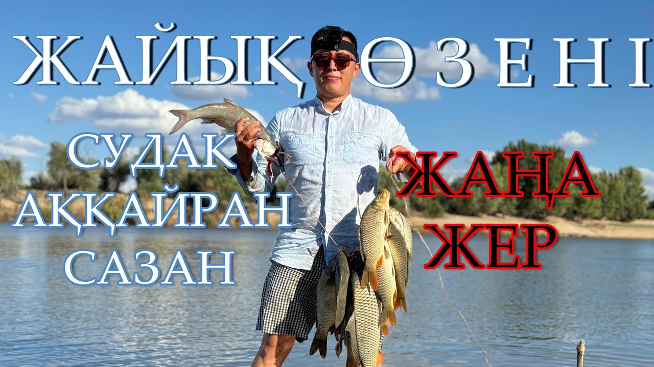 НОВЫЕ МЕСТА ДНЕМ КЛЕВ САЗАНА ВЕЧЕРОМ КЛЕВ СУДАКА