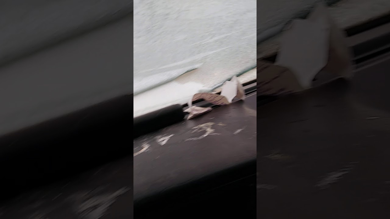 Климат пассат б4