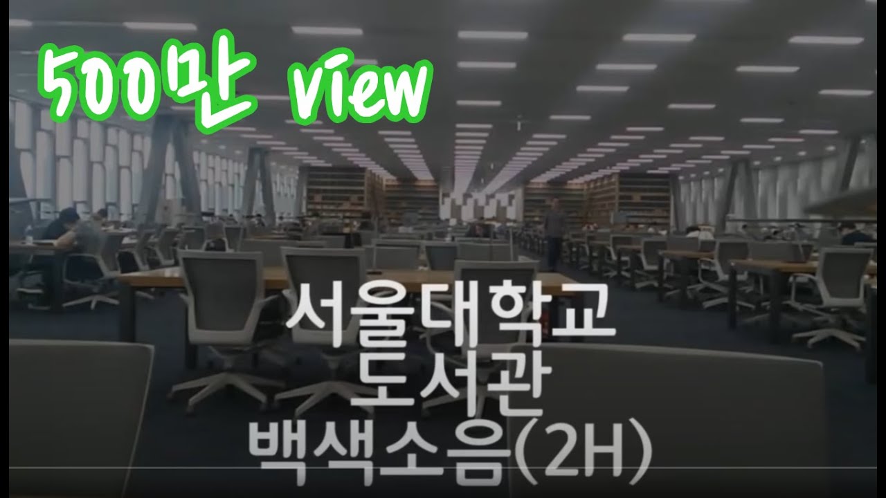 서울대학교 도서관 백색소음 2시간