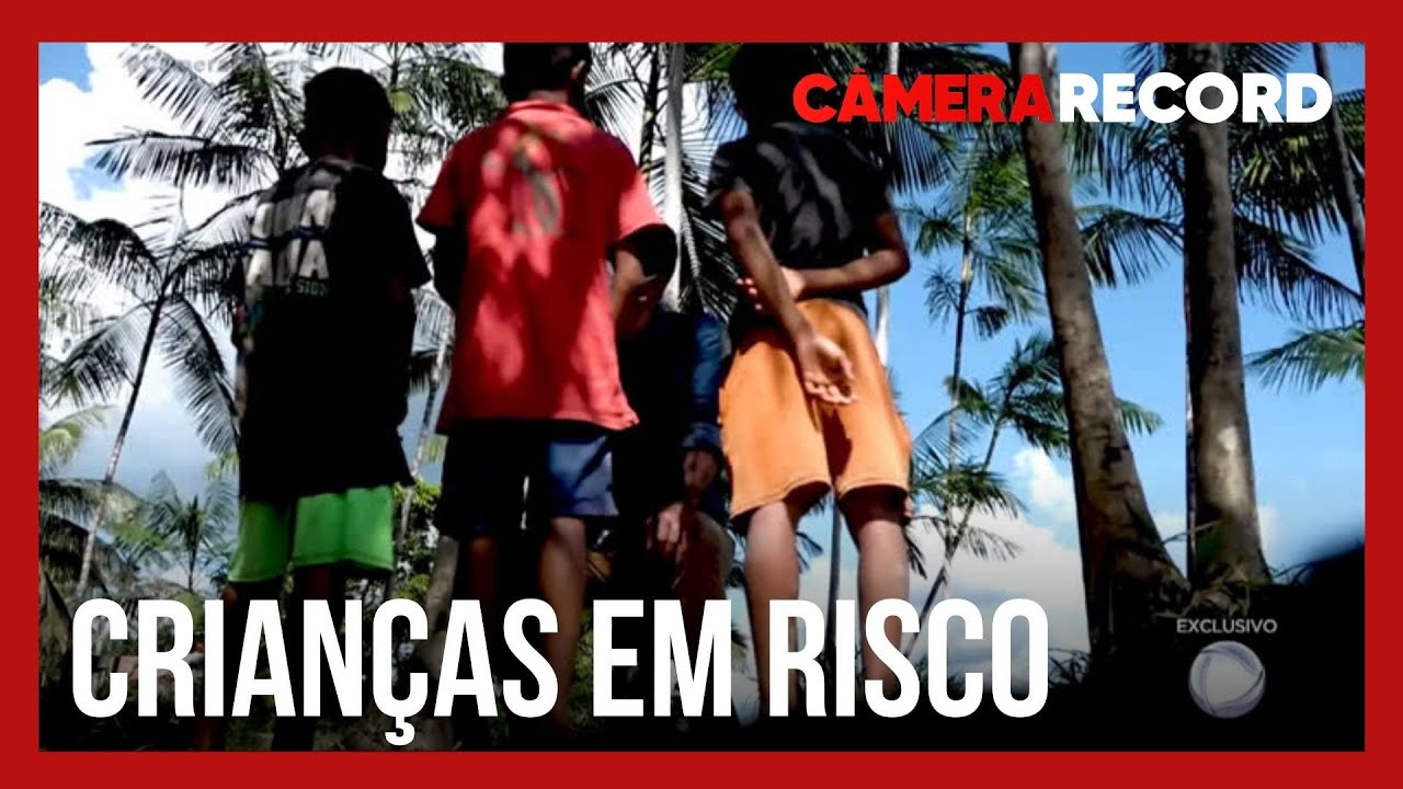 Na capital mundial do açaí, trabalho infantil é realidade
