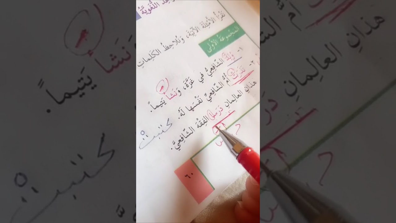 الفعل الماضي .. العربي الصف السادس