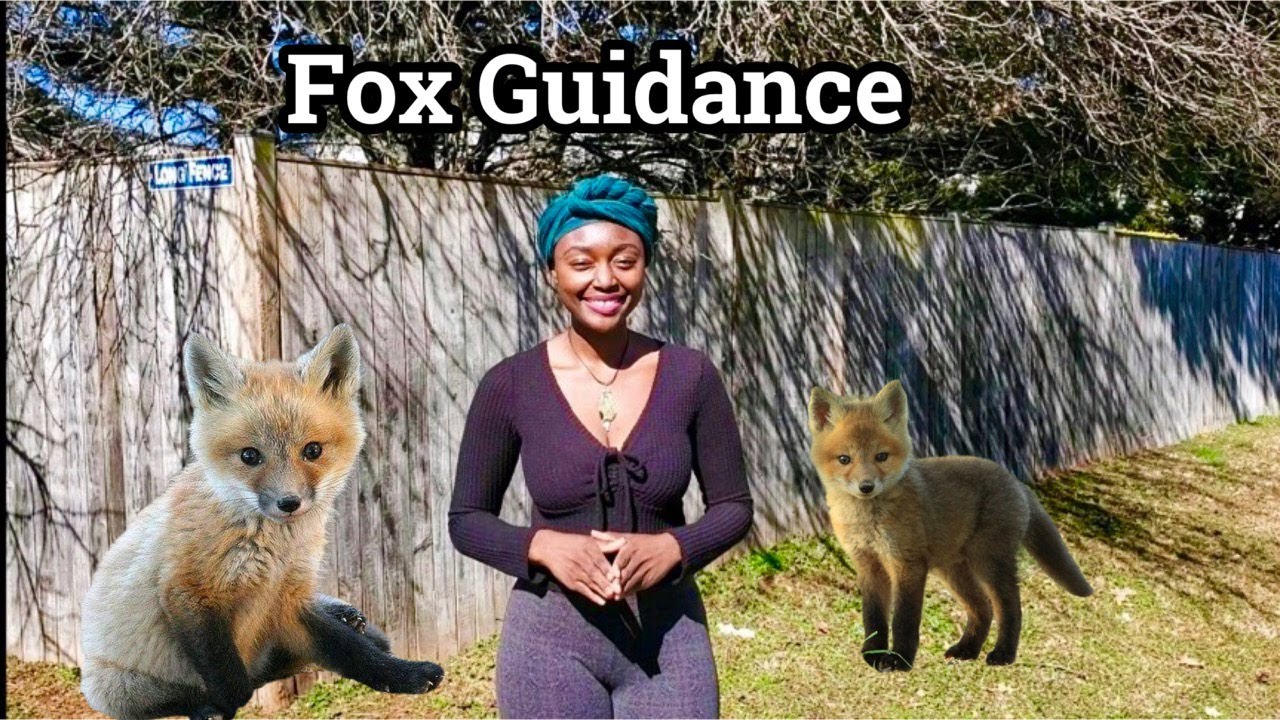 Fox Spirit Animal Totem