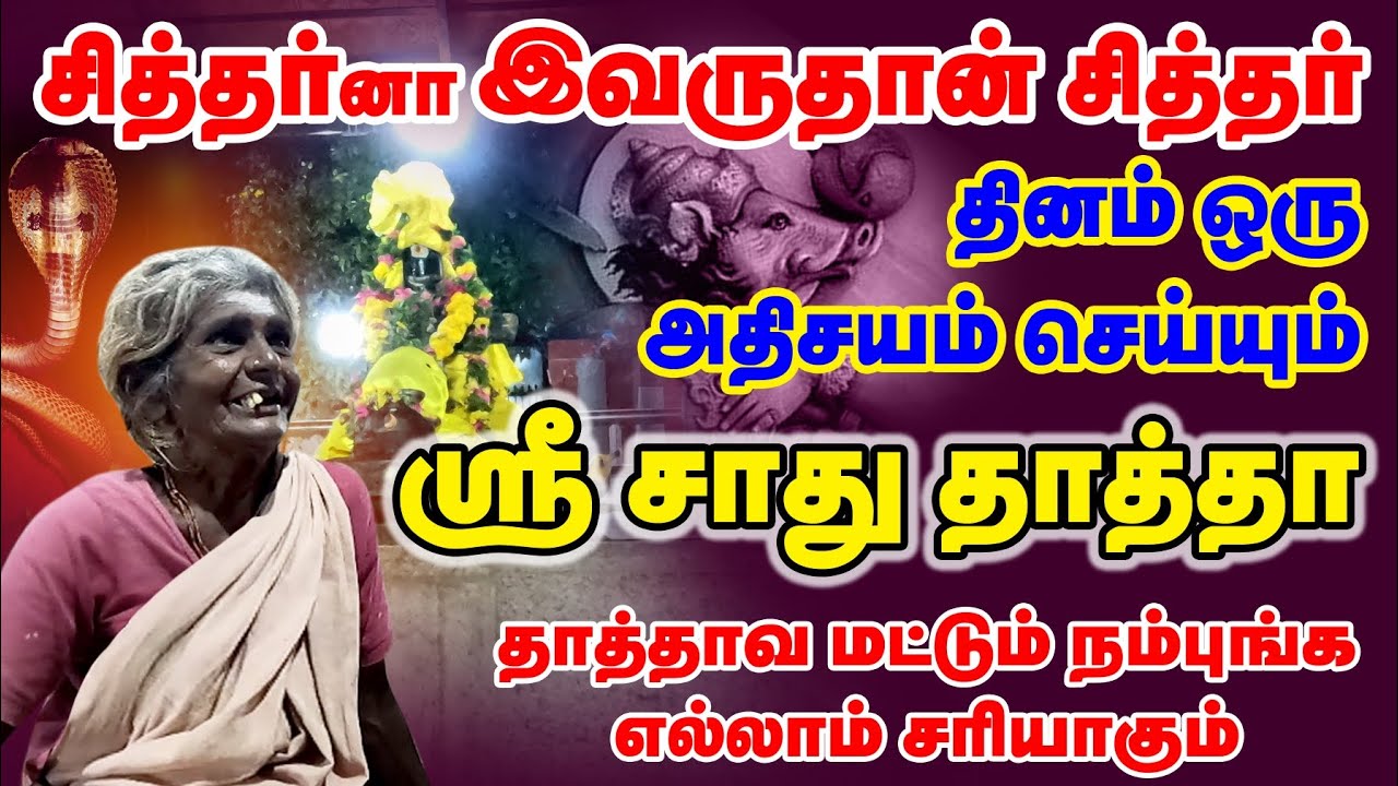 தினம் ஒரு அதிசயம் செய்யும் ஸ்ரீ சாது தாத்தா அருப்புக்கோட்டை #jeevasamadhi #wayofyogis
