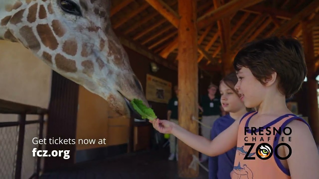 Fresno Chaffee Zoo - Great Day