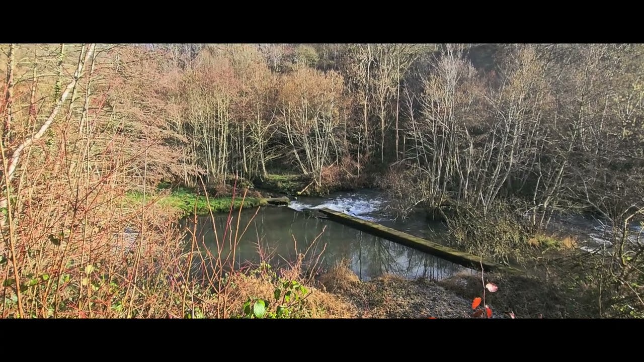 Balade à Dorinne  - Yvoir 